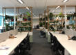 Coworking space with indoor plants