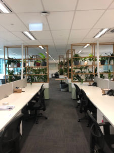 Coworking space with indoor plants