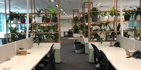 Coworking space with indoor plants