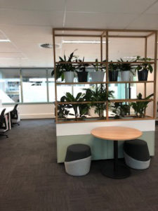 office-fit-out-indoor-plants